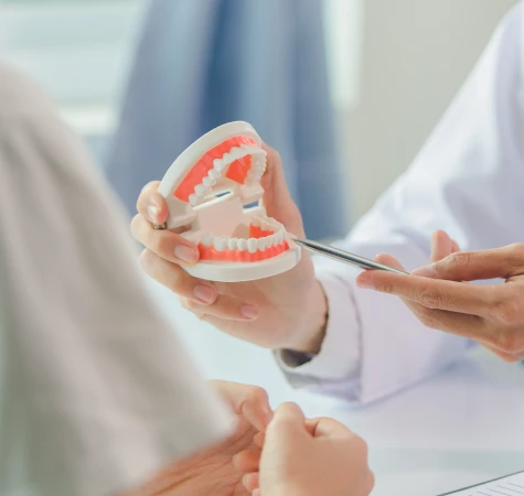 Dentist showing patient model of teeth